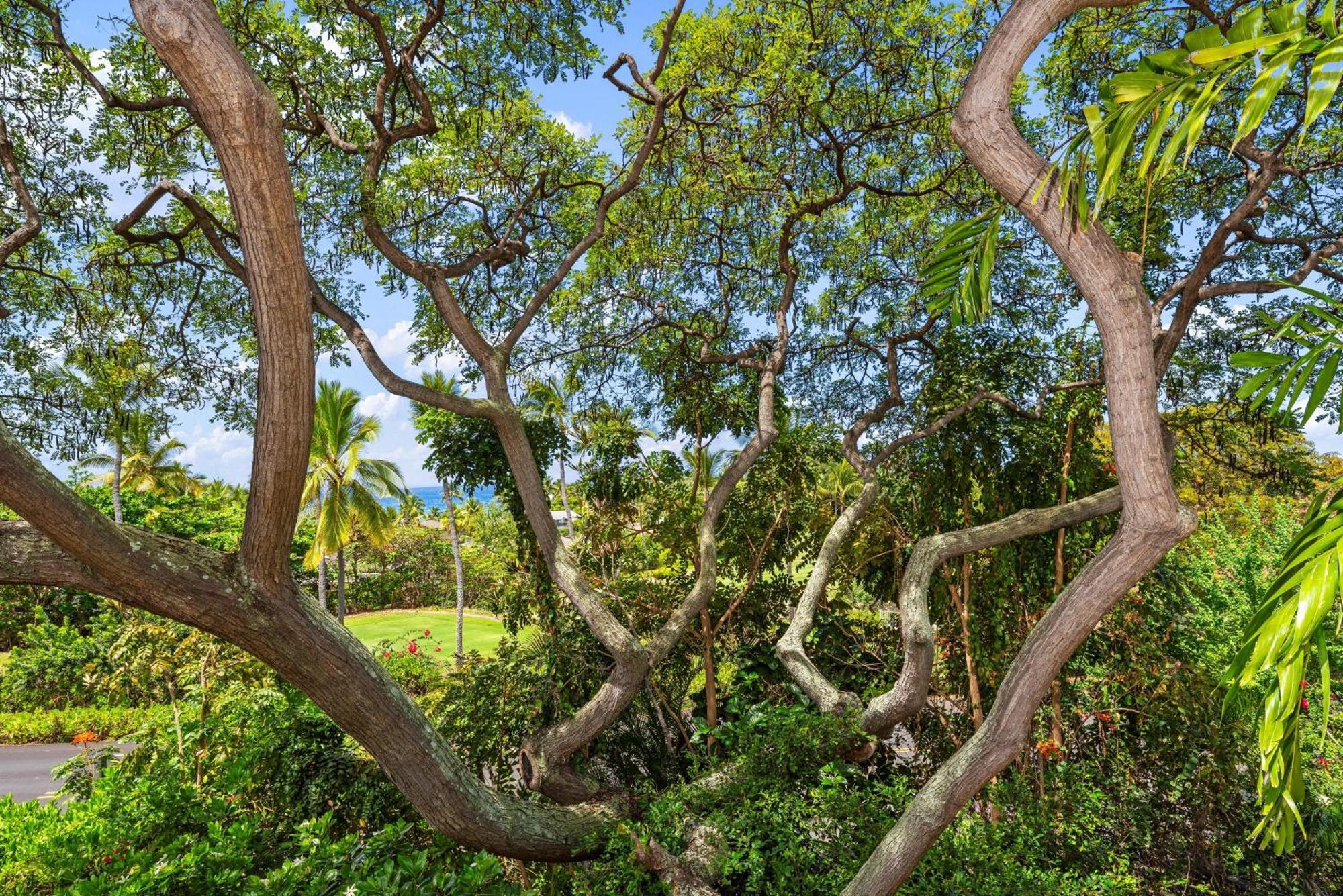 "Makani Moana" At Keauhou Resort #104, Entire Townhome Close To Kona Кайлуа-Кона Екстер'єр фото